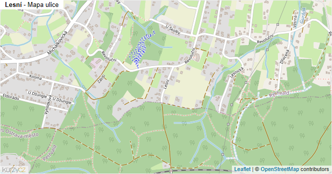 Lesní - mapa ulice