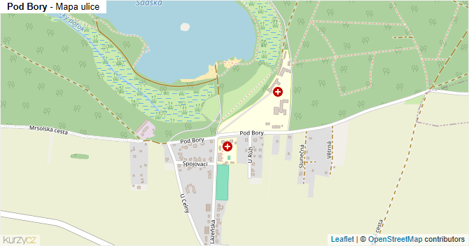 Pod Bory - mapa ulice