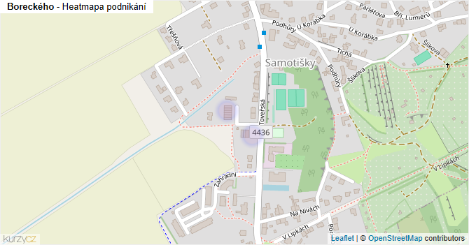 Boreckého - mapa podnikání