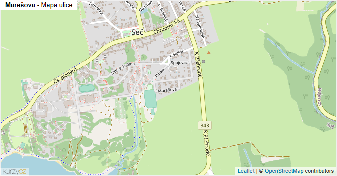 Marešova - mapa ulice