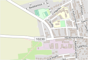 Profesora Plavce v obci Sedlčany - mapa ulice