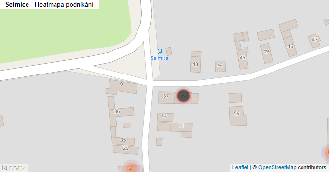 Selmice - mapa podnikání