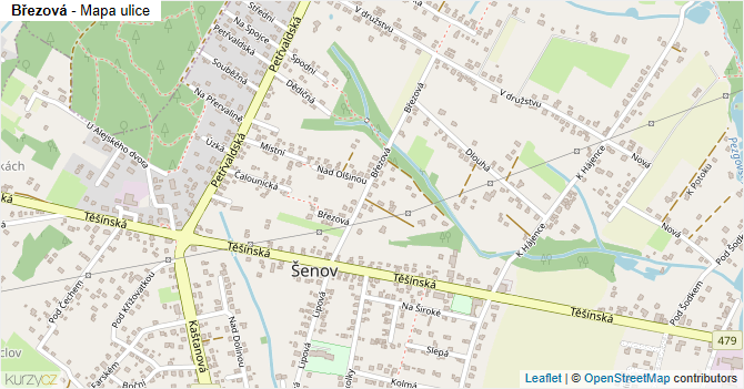 Březová - mapa ulice