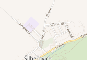 Polní v obci Šilheřovice - mapa ulice