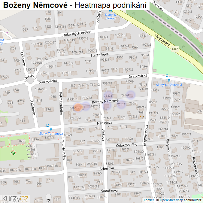 Mapa Boženy Němcové - Firmy v ulici.