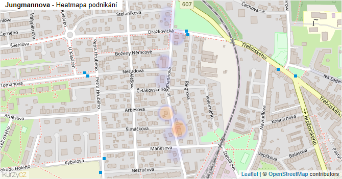 Jungmannova - mapa podnikání