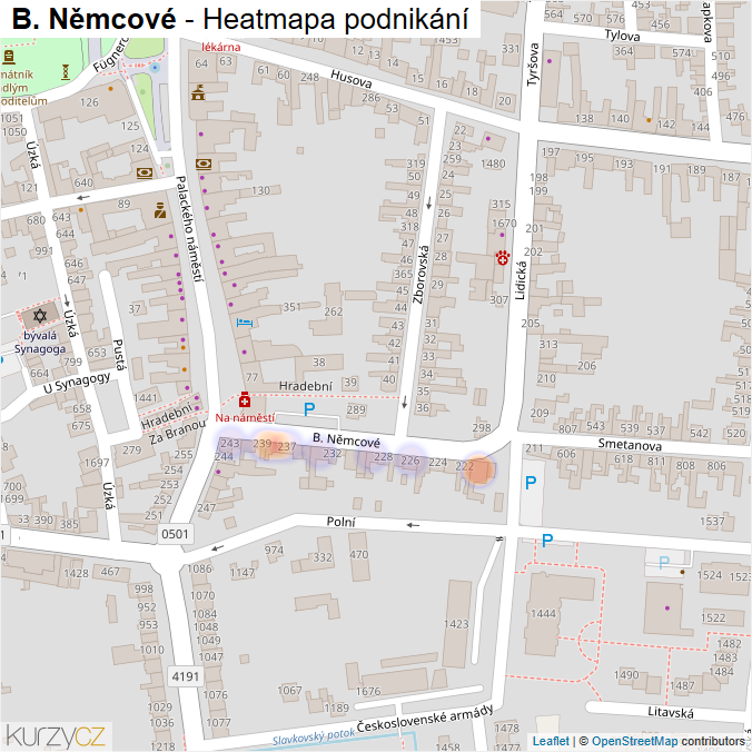 Mapa B. Němcové - Firmy v ulici.