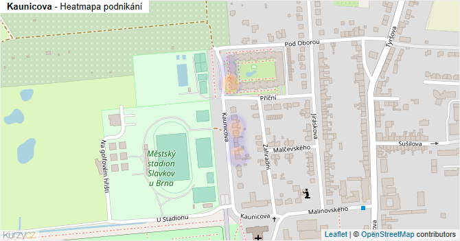 Kaunicova - mapa podnikání