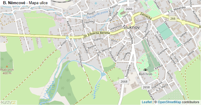 B. Němcové - mapa ulice