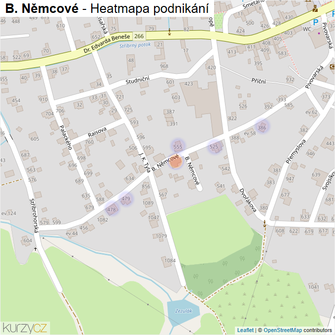 Mapa B. Němcové - Firmy v ulici.