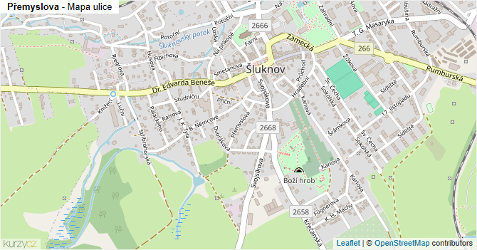 Přemyslova - mapa ulice
