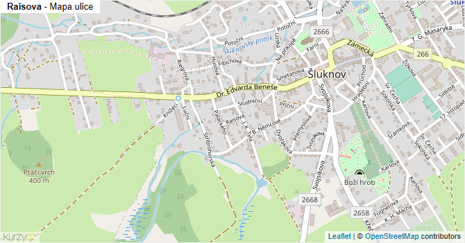 Raisova - mapa ulice