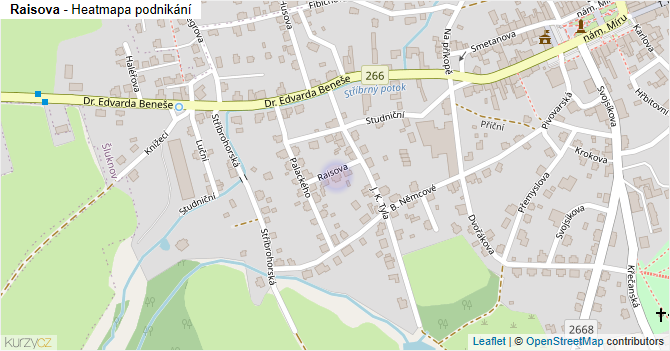 Raisova - mapa podnikání
