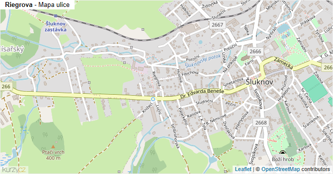 Riegrova - mapa ulice