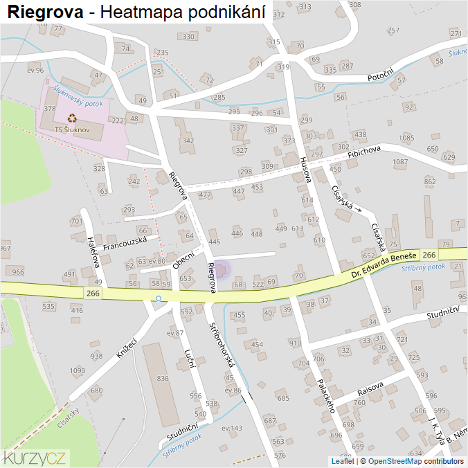 Mapa Riegrova - Firmy v ulici.