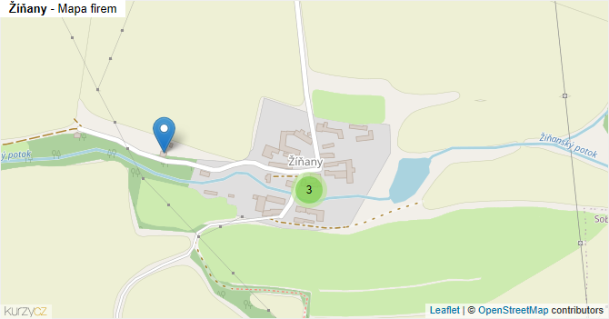 Žíňany - mapa firem