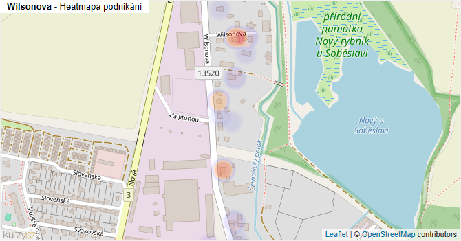 Wilsonova - mapa podnikání