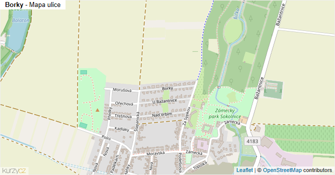 Borky - mapa ulice