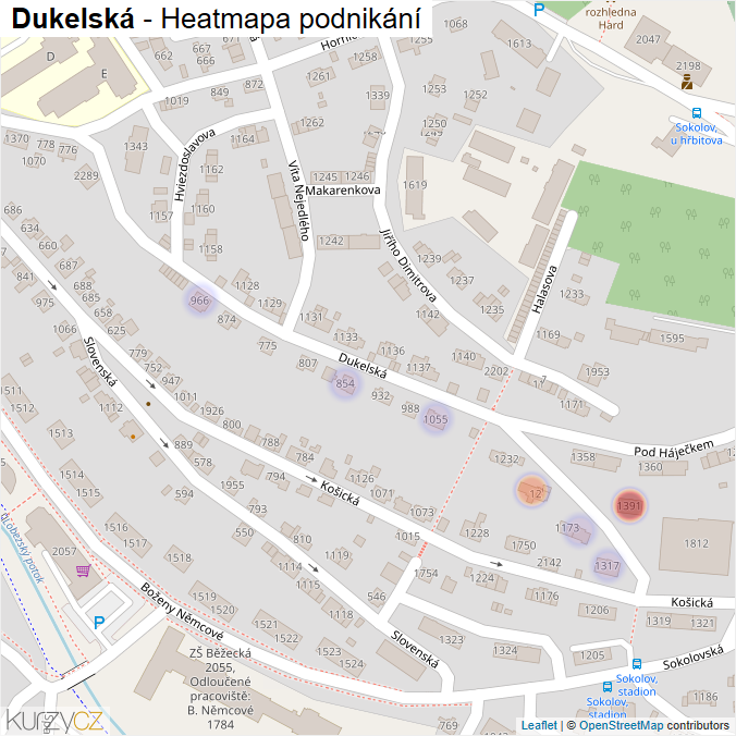 Mapa Dukelská - Firmy v ulici.