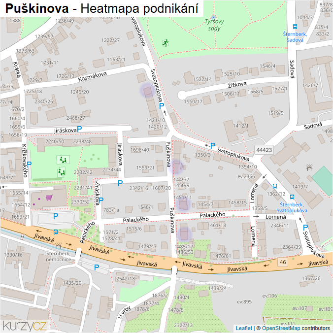Mapa Puškinova - Firmy v ulici.
