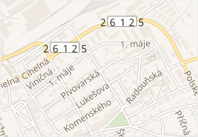Palackého v obci Štětí - mapa ulice