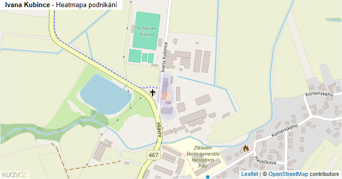 Ivana Kubince - mapa podnikání