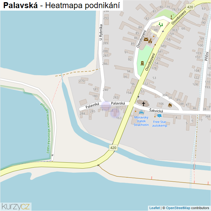 Mapa Palavská - Firmy v ulici.