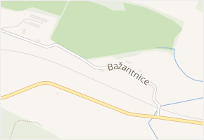 Bažantnice v obci Strakonice - mapa ulice