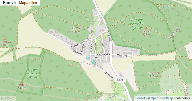 Borová - mapa ulice