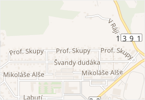 Prof. Skupy v obci Strakonice - mapa ulice