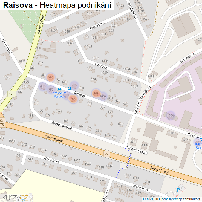 Mapa Raisova - Firmy v ulici.
