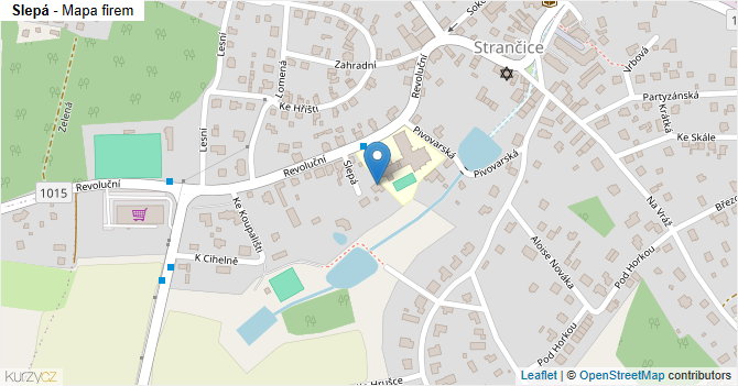 Slepá - mapa firem