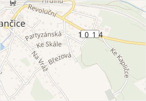 V Březince v obci Strančice - mapa ulice
