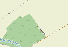 Bažantnice v obci Strážnice - mapa ulice