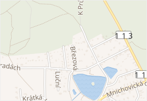 Březová v obci Struhařov - mapa ulice