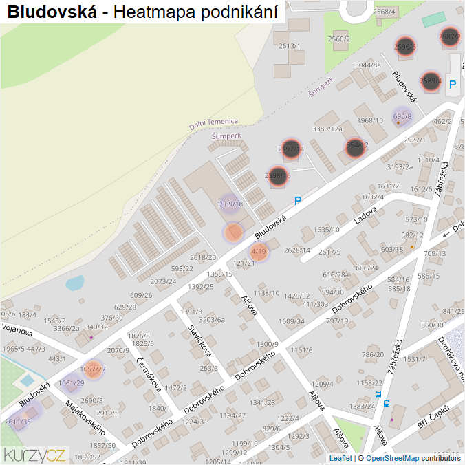 Mapa Bludovská - Firmy v ulici.