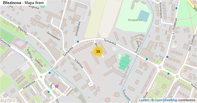 Březinova - mapa firem