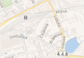 Čičákova v obci Šumperk - mapa ulice
