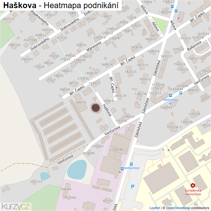 Mapa Haškova - Firmy v ulici.