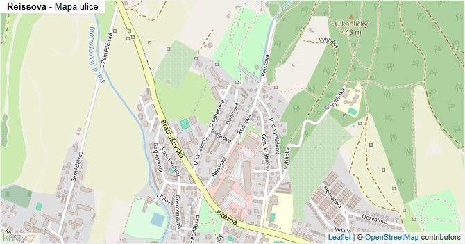 Reissova - mapa ulice