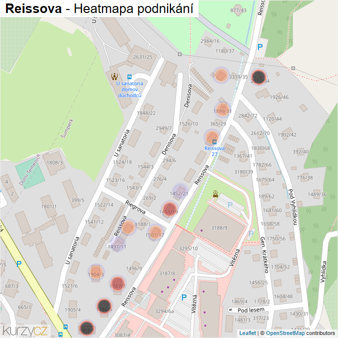 Mapa Reissova - Firmy v ulici.