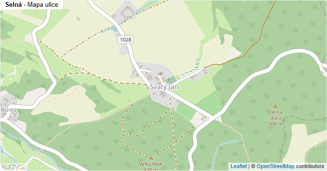 Selná - mapa ulice