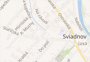 Na spojnici v obci Sviadnov - mapa ulice
