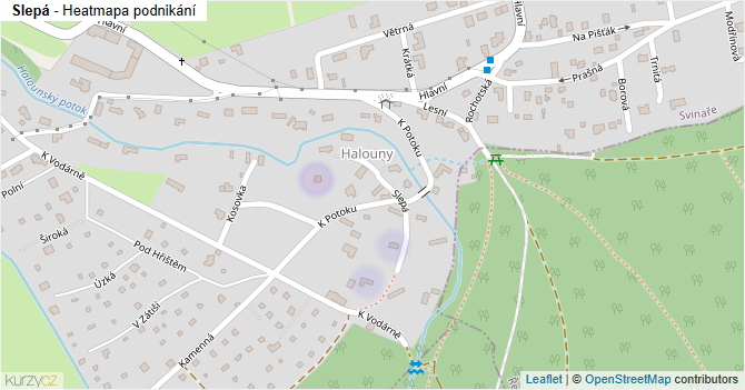 Slepá - mapa podnikání