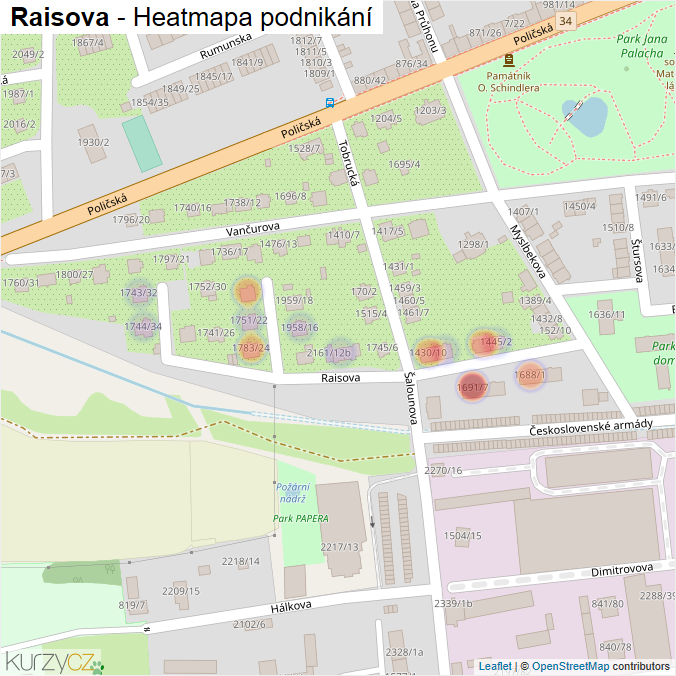 Mapa Raisova - Firmy v ulici.