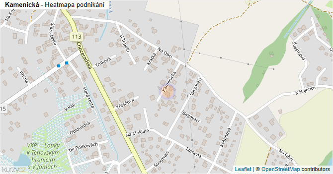 Kamenická - mapa podnikání