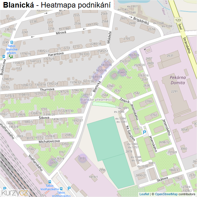 Mapa Blanická - Firmy v ulici.
