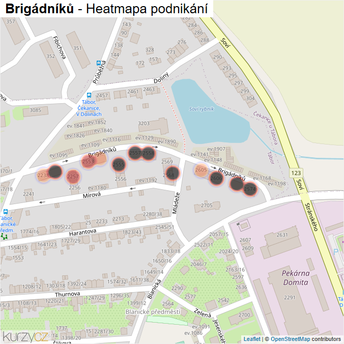 Mapa Brigádníků - Firmy v ulici.