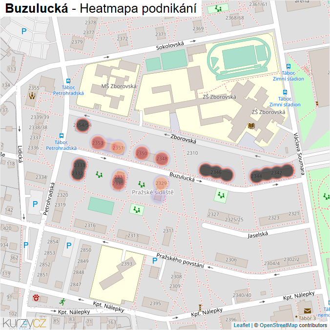 Mapa Buzulucká - Firmy v ulici.