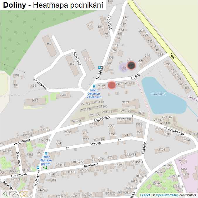 Mapa Doliny - Firmy v ulici.